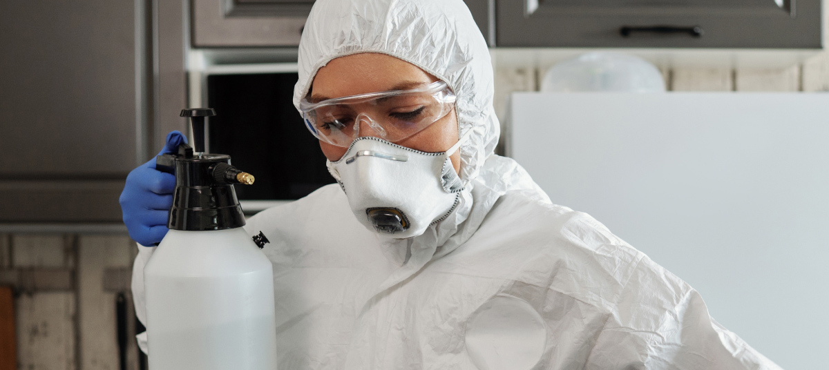 Carpet Cleaning Company Christchurch Clean N Dry Christchurch