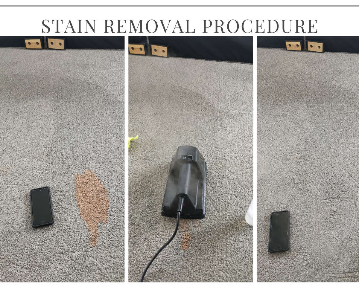 Carpet Cleaning Services Christchurch Steam Cleaning